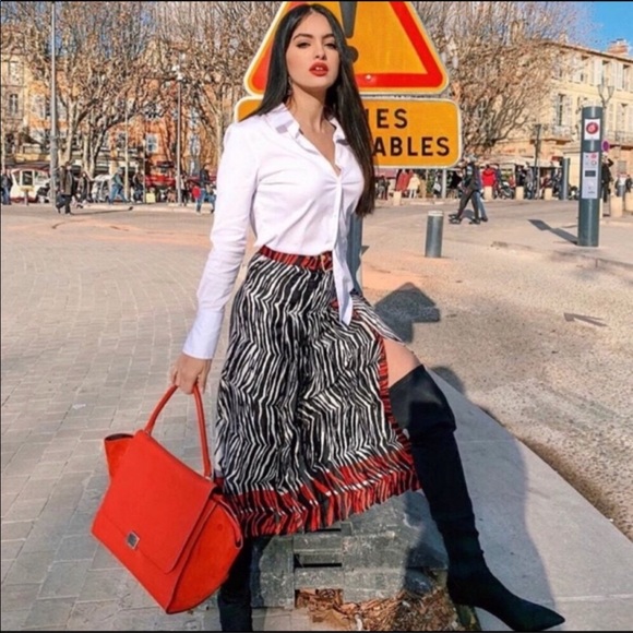 Zara Dresses & Skirts - Zara Animal Print Skirt